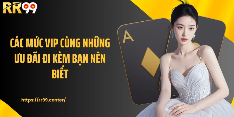 Các mức VIP cùng những ưu đãi đi kèm bạn nên biết