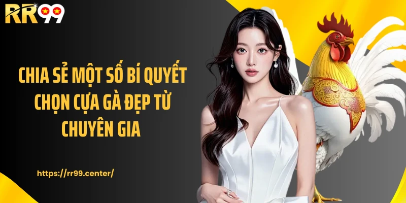 Chia sẻ một số bí quyết chọn cựa gà đẹp từ chuyên gia 