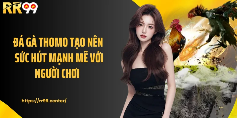 Đá gà Thomo tạo nên sức hút mạnh mẽ với người chơi