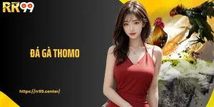Đá Gà Thomo: Sân Chơi Kịch Tính, Mãn Nhãn Tại RR99
