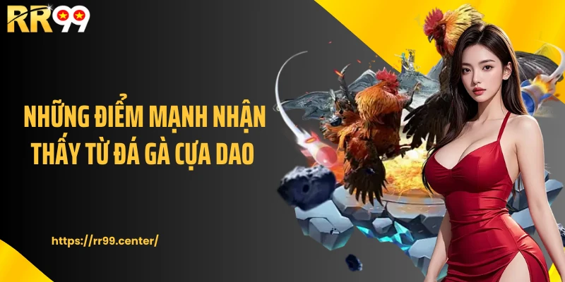Những điểm mạnh nhận thấy từ đá gà cựa dao 