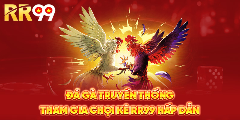 Đá gà truyền thống – Tham gia chọi kê RR99 hấp dẫn